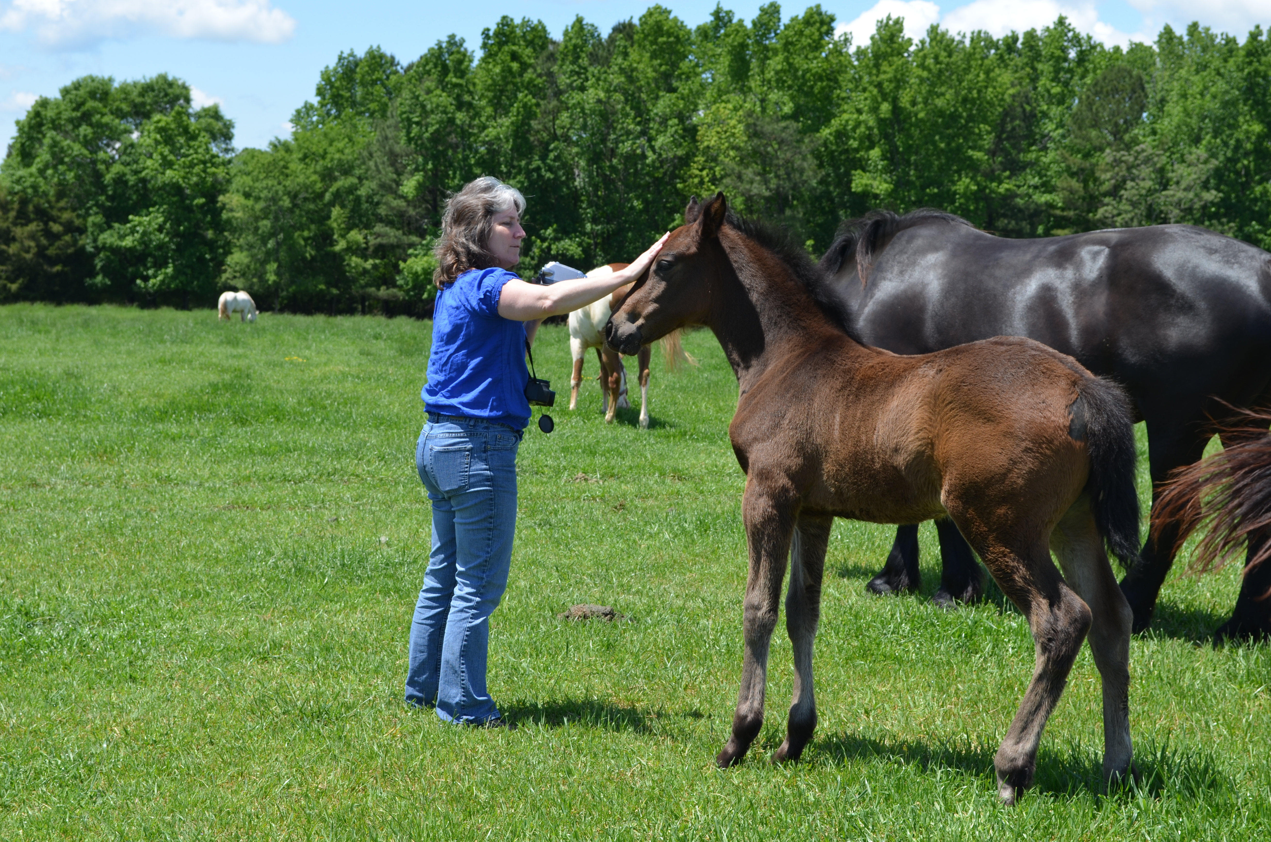 ./2013/Southern Cross Ranch/DSC_2372.JPG